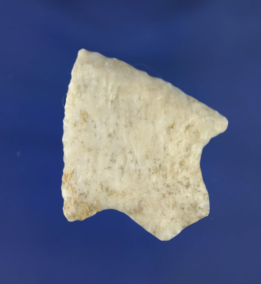 1 11/16" Newnan point made from coral found in Florida.