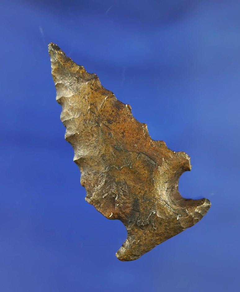 Heavy River patina on this 2 1/16" Bolen Bevel found near the Suwanee River, Florida.