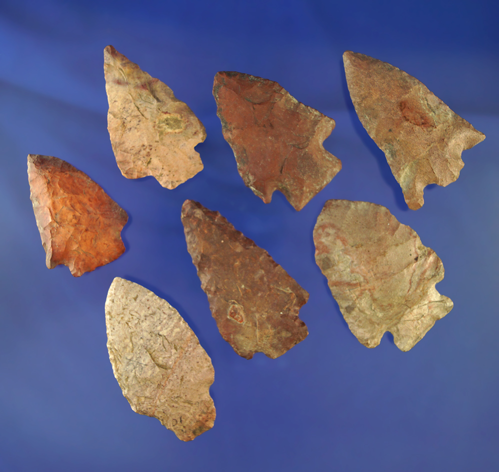 Set of seven assorted Mississippi arrowheads, largest is 2 1/2".