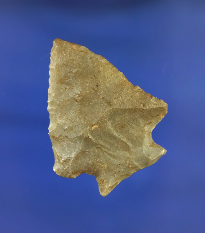 1 1/2" Decatur Fracture Base found in Tennessee.