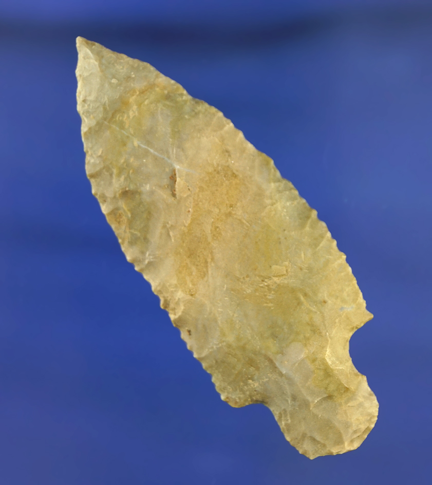 Excellent serrations on this 2 11/16" Arkansas Stem Point.