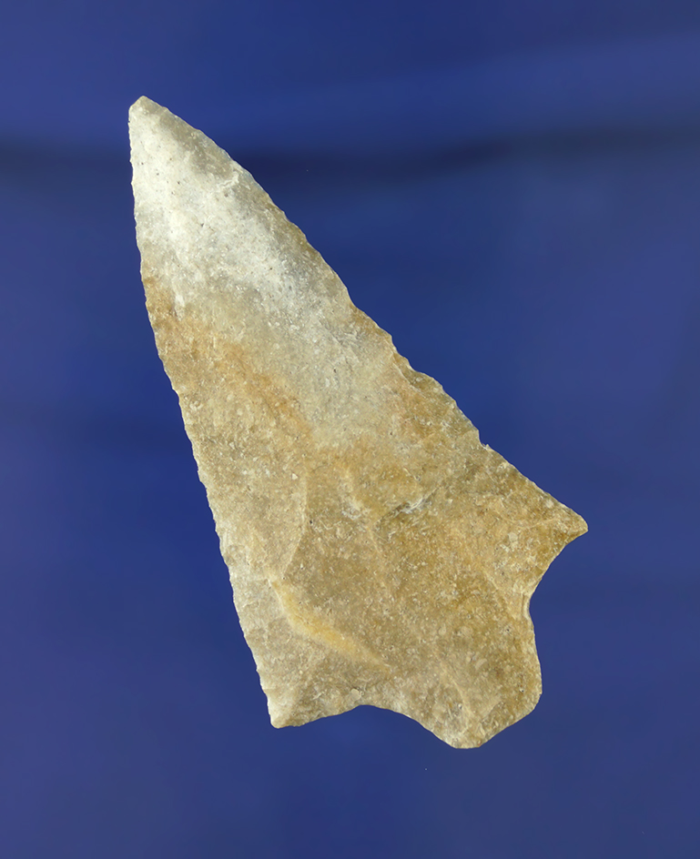 3 1/16" Levy Knife found in Polk Co., Florida.