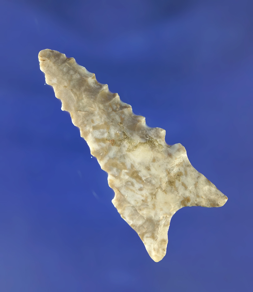 2 1/16" Dalton point found in Arkansas.