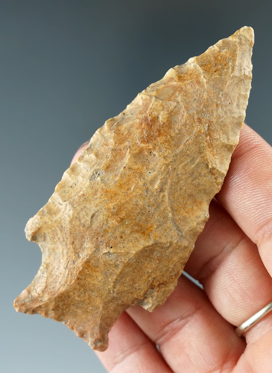 3 3/16" Seminole found in Suwanee Co., Florida. Ex. Kevin Dowdy.