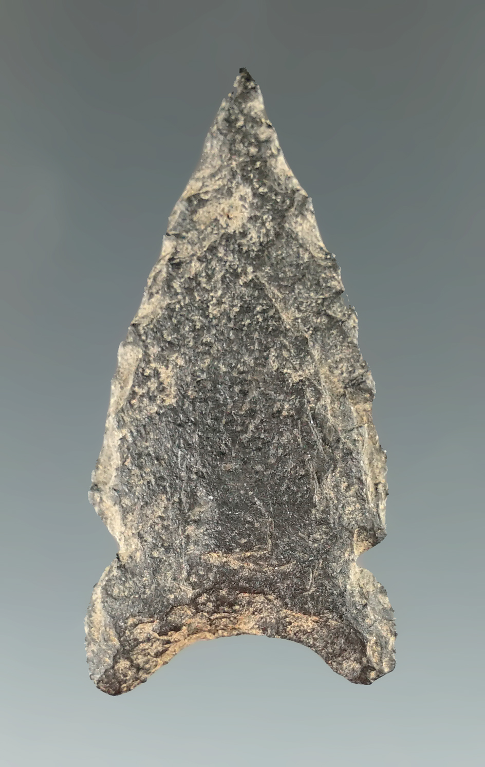 1 1/2" Pekisko point found in Saskatchewan Canada made from basalt.