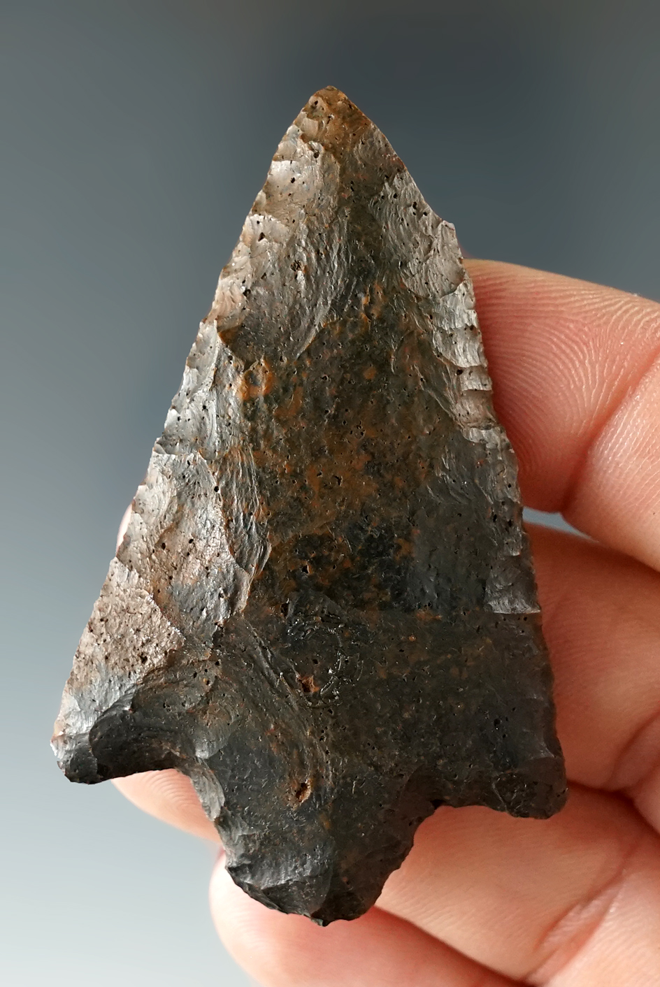 2 1/4" Hillsboro found in Baker Co., Georgia with an ancient lateral tip nick. Ex. Kevin Dowdy.