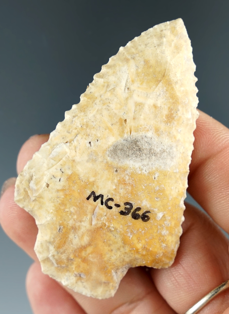 2 9/16" Wacissa with nice serrations on the Blade edges found in Florida.