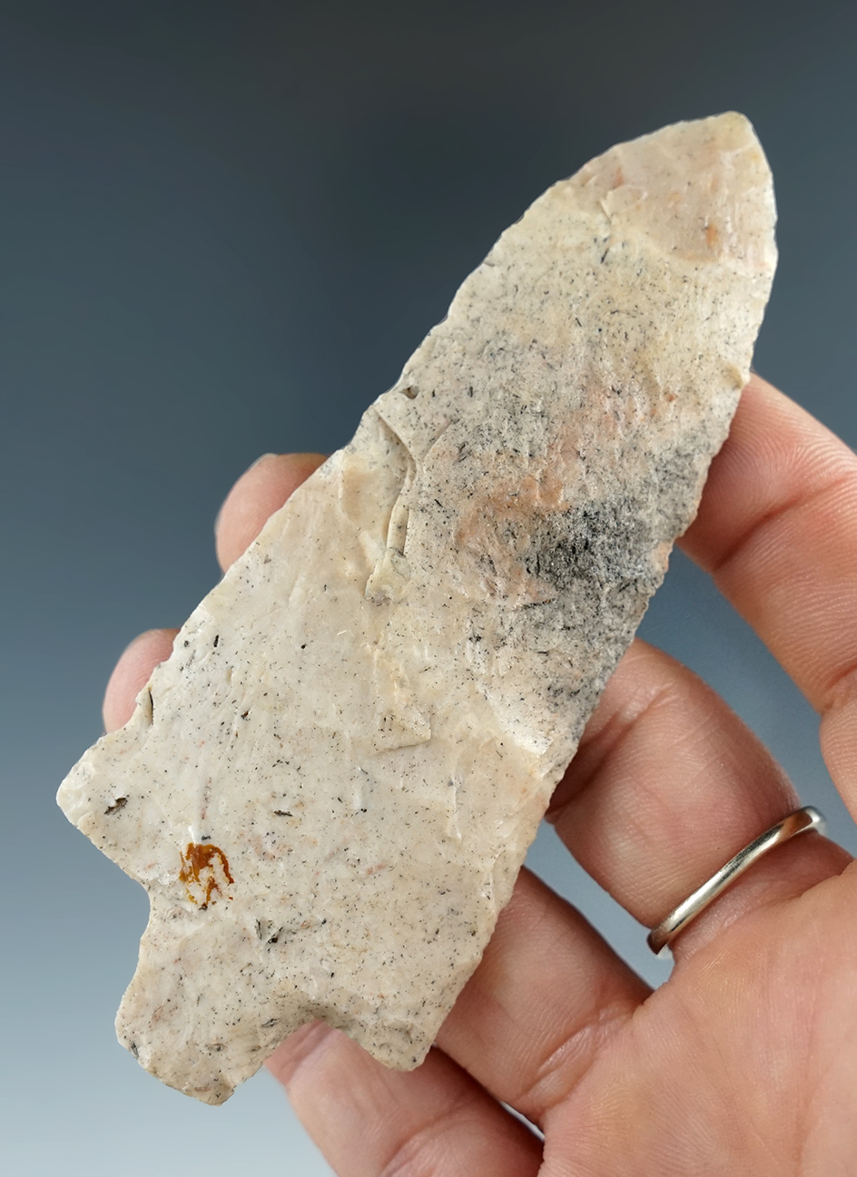 3 15/16" Newnan found in Florida which was once glued to a board.