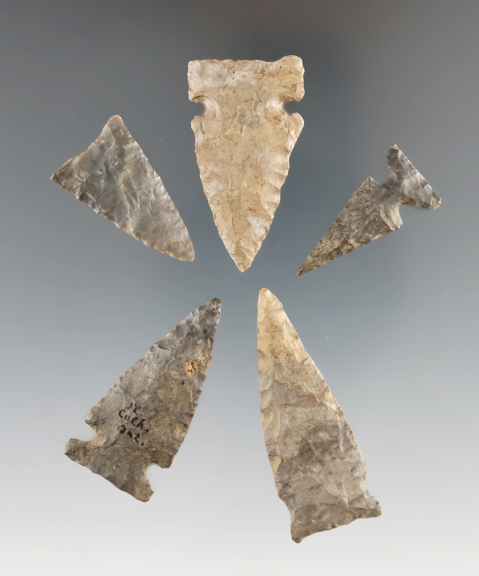 Set of five assorted arrowheads found in New York, largest is 1 5/8".