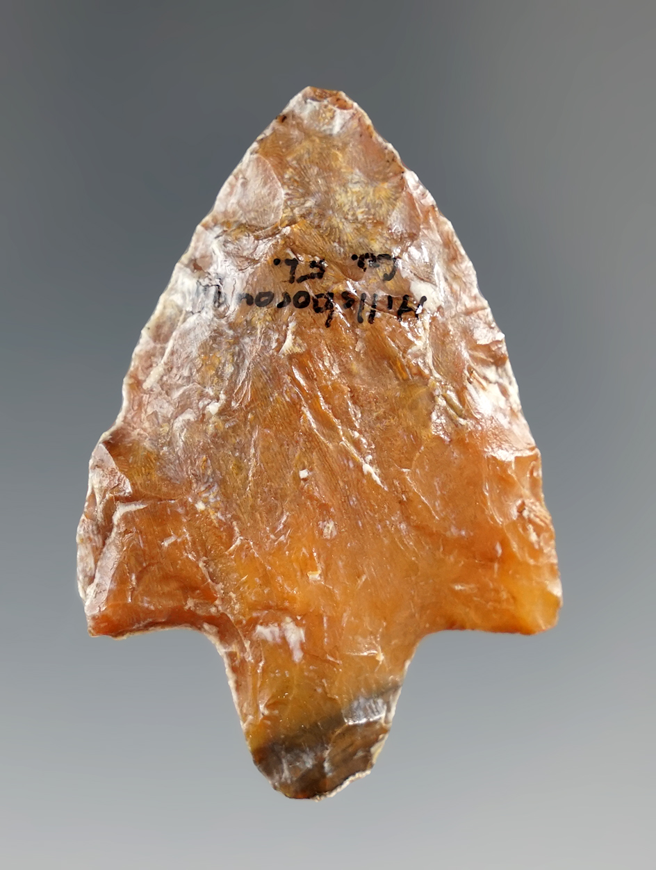 2" Marion point made from beautiful Agatized coral found in Hillsborough Co., Florida.