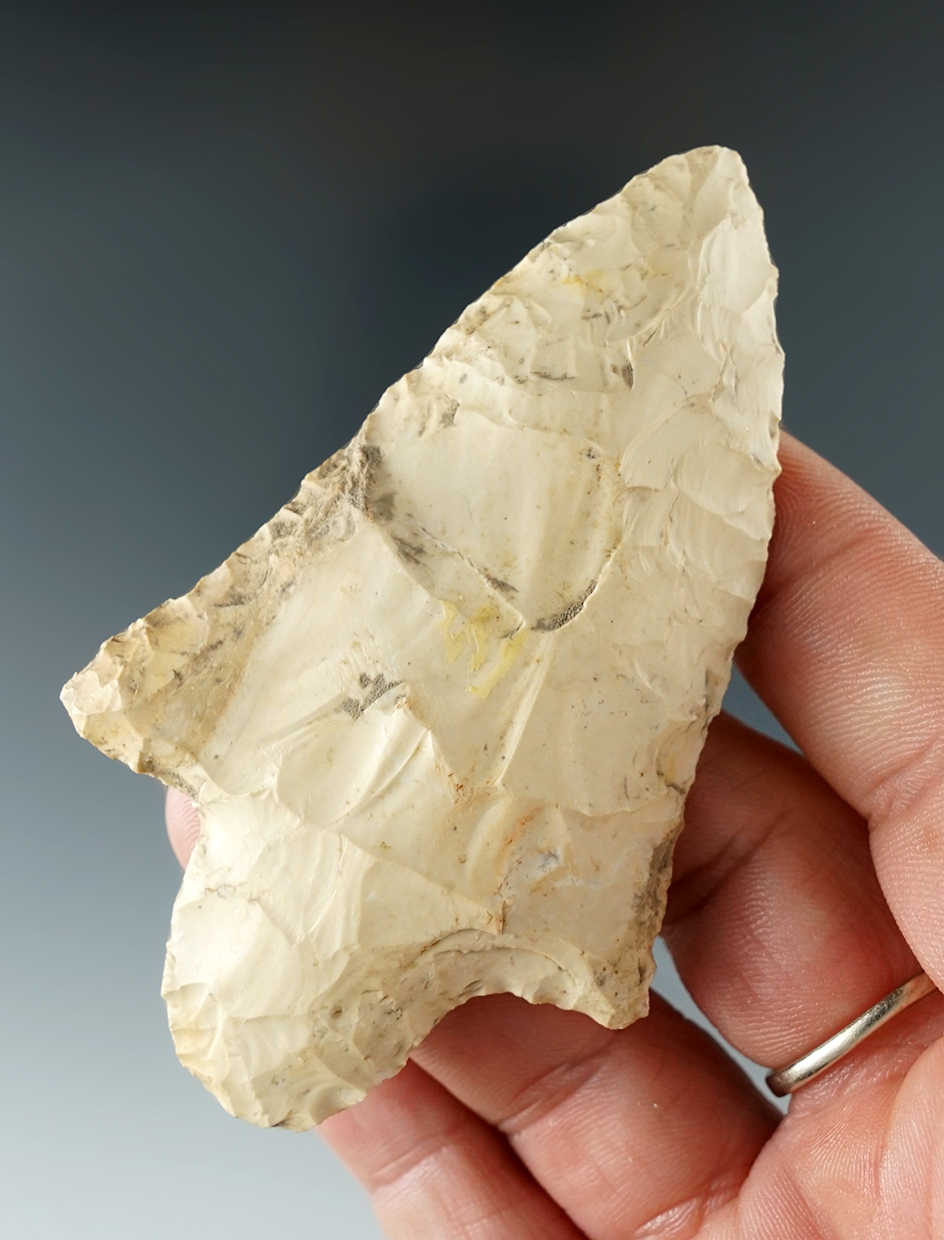 3 1/4" Cypress Creek found in Baker Co., Georgia. Ex. Kevin Dowdy.