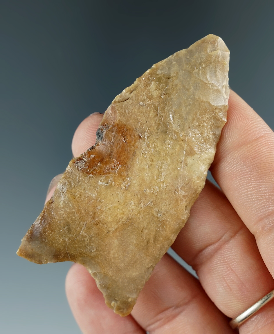 Heavily patinated 2 9/16" Paleo Suwanee found in Alachua Co., Florida.