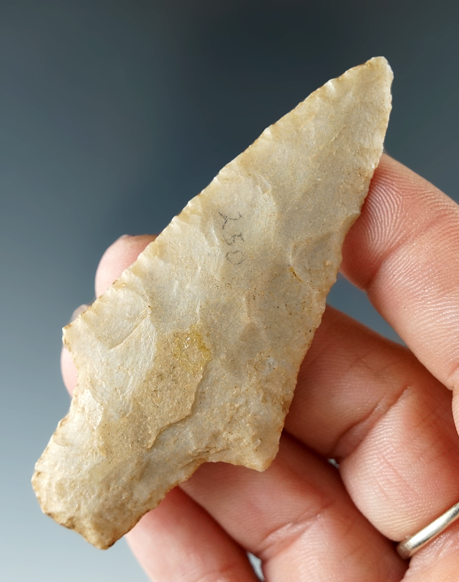 2 7/8" Piedmont Northern found in Pennsylvania.