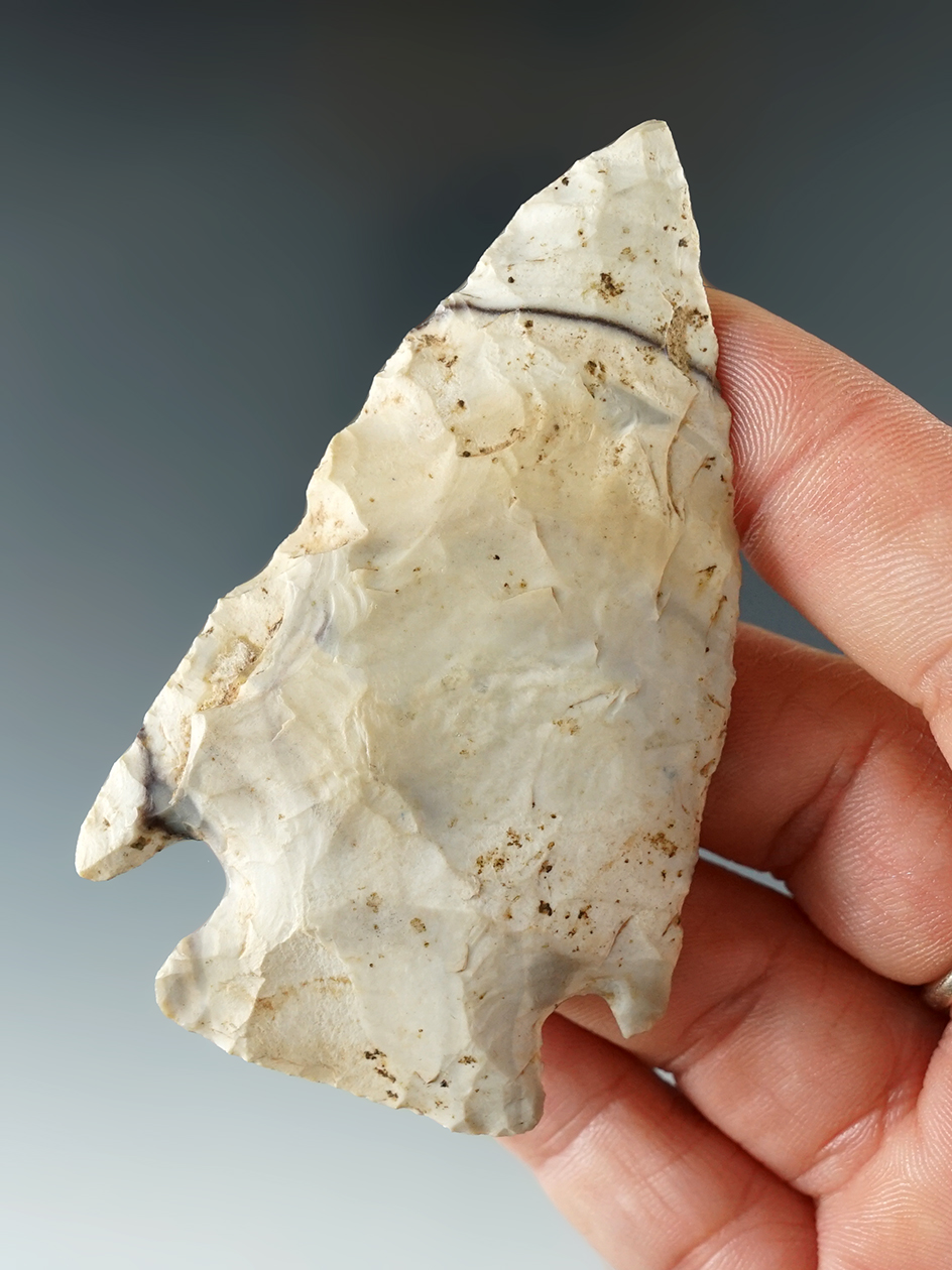 2 15/16" Castroville found in white Co., Arkansas.