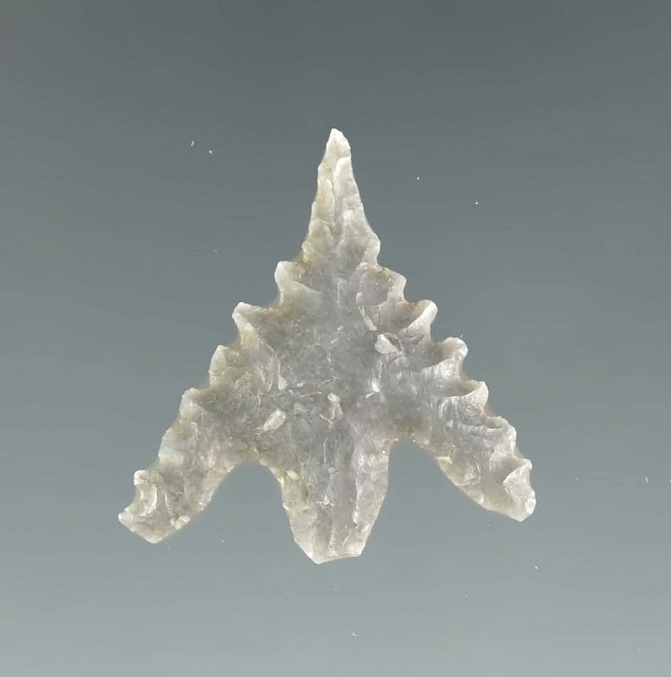 Classic style, excellent serrations! 11/16" heavily serrated Wintu Point - Shasta Co., California.