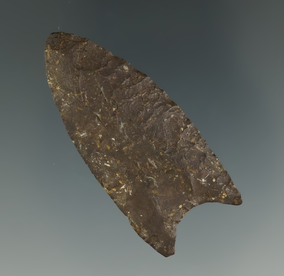2" Paleo Fluted Clovis that is well styled, found in New Mexico.