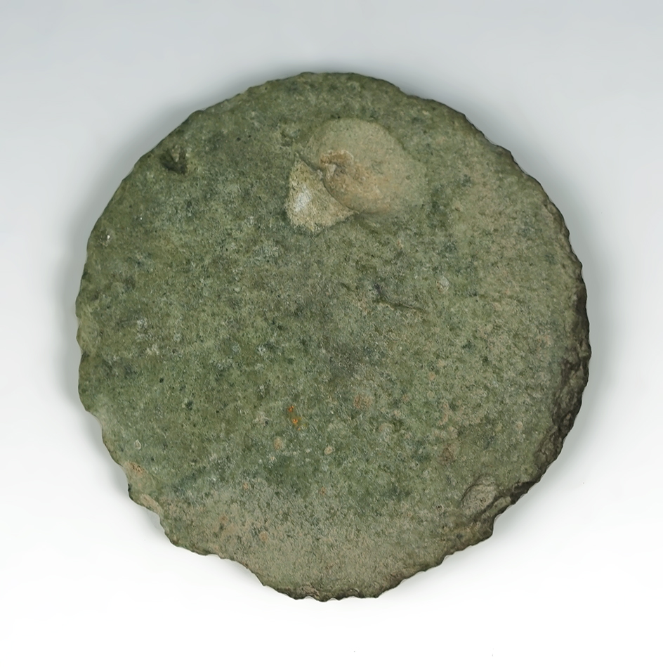 2" Diameter "cobble chopper" made from stone used for shredding salmon. Benton Co.,  WA.