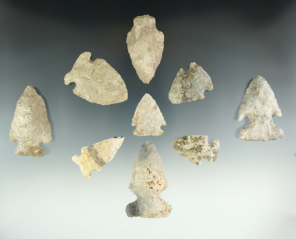 Set of nine assorted points, largest is 1 7/8". Found in Hillsdale Co., Michigan, near Sand Lake.