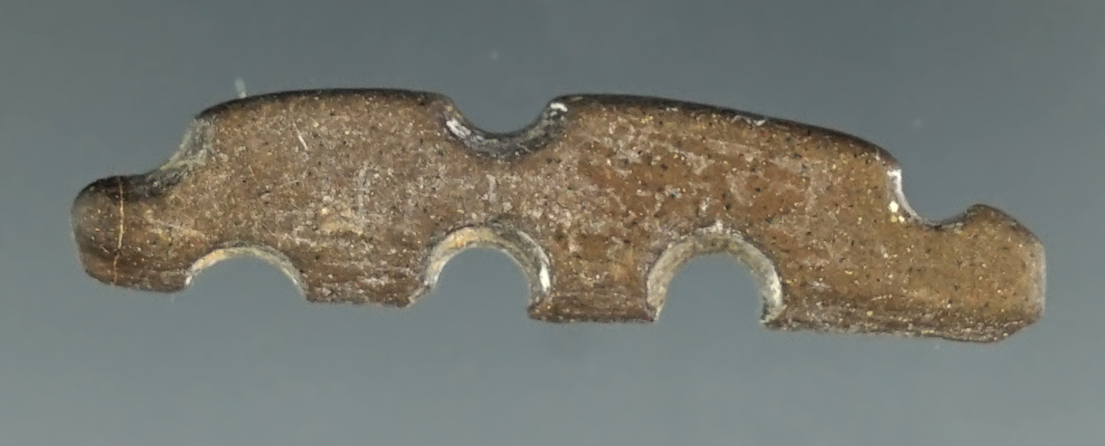 Unique! 1 3/16" delicate eccentric made from stone found in Umatilla, Oregon.