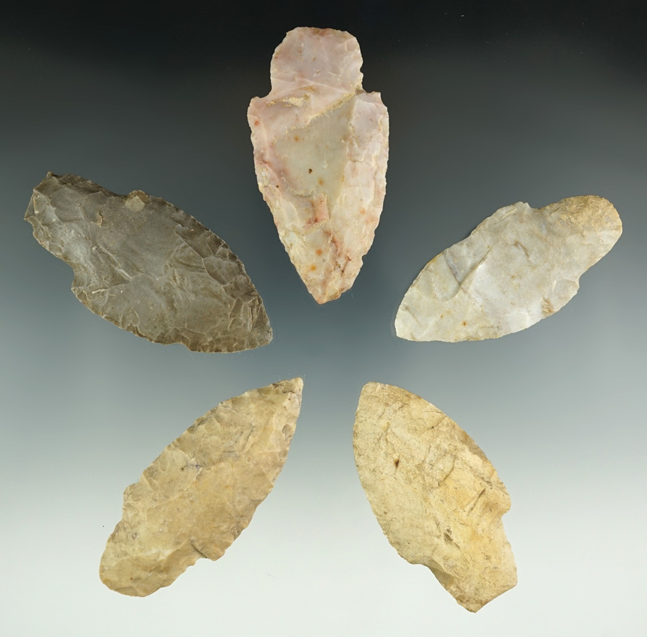 Set of five Adena points found in Lenawee Co., Michigan. Largest is 2 3/4".