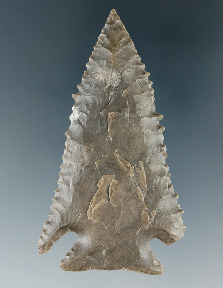 Beautifully serrated 2 7/16" Pinetree point found in Tennessee.