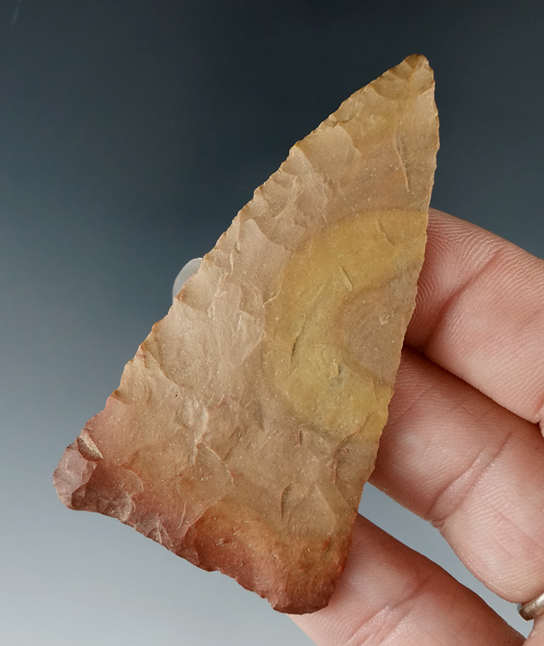 Colorful 2 5/8" Triangular Blade found in Tennessee.