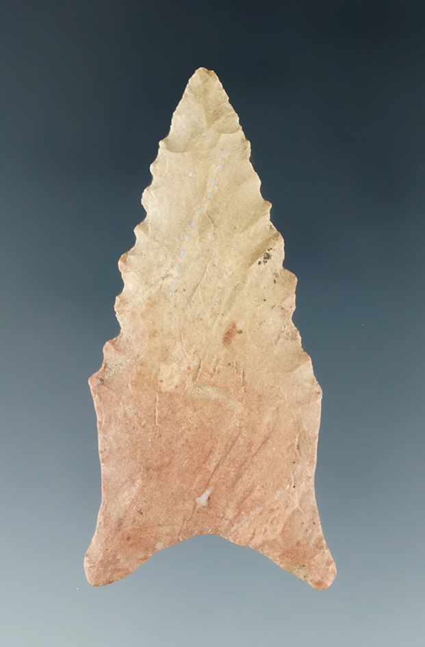 2" serrated Dalton point found in Tennessee.