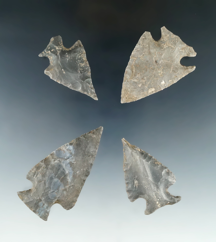 Set of four nice Tennessee arrowheads, largest is 2 3/8".