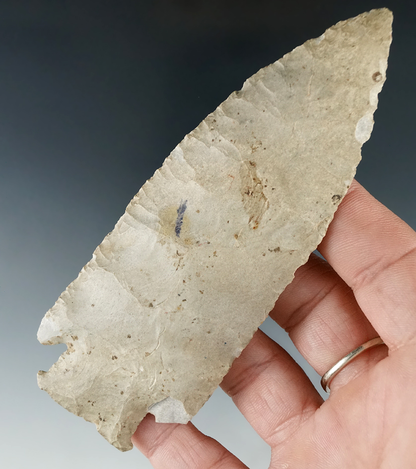 Excellent candidate for restoration! 4 9/16" knobbed Hardin with box damage to ears and tip. IN.