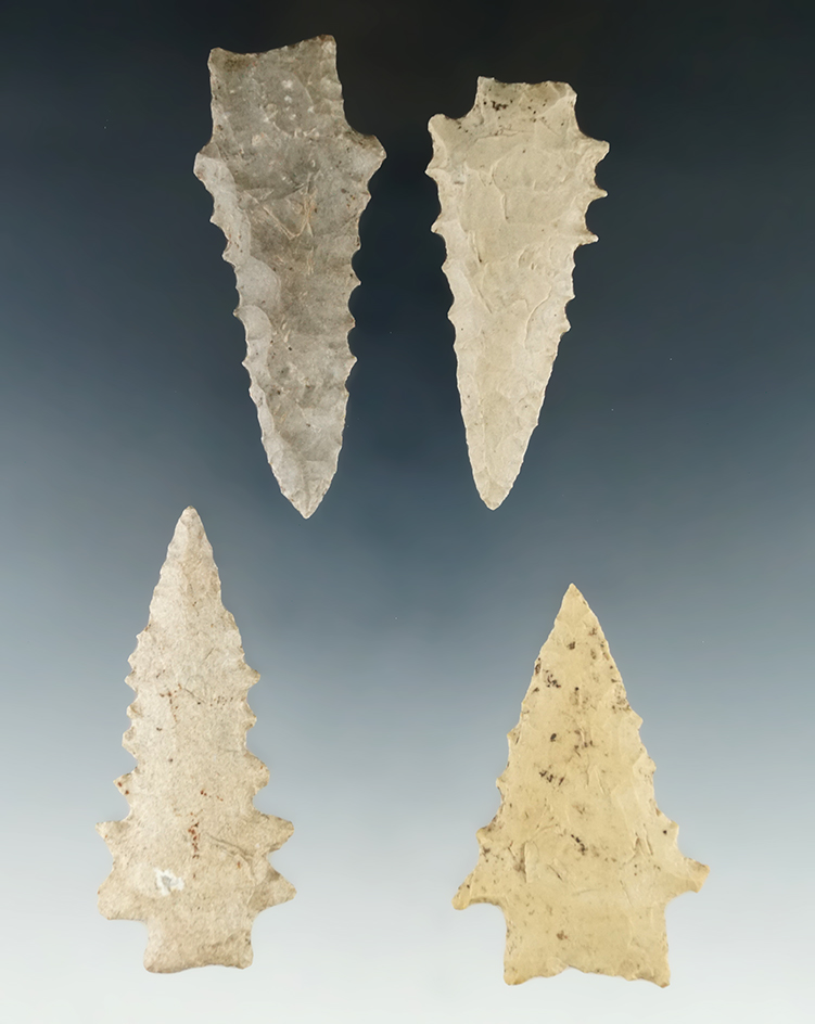 Nice set of four Kirk serrated points found in Tennessee, largest is 2 9/16".