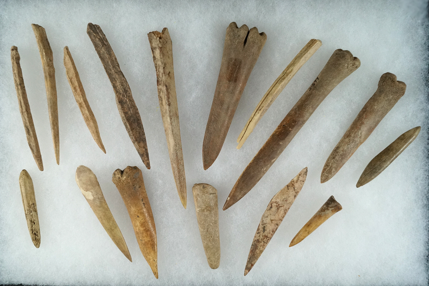 Large group of bone artifacts found at a site in Tennessee, largest is 4 3/4".
