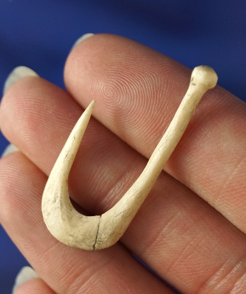 1 1/2" bone Fishhook found inSaltville, VA.