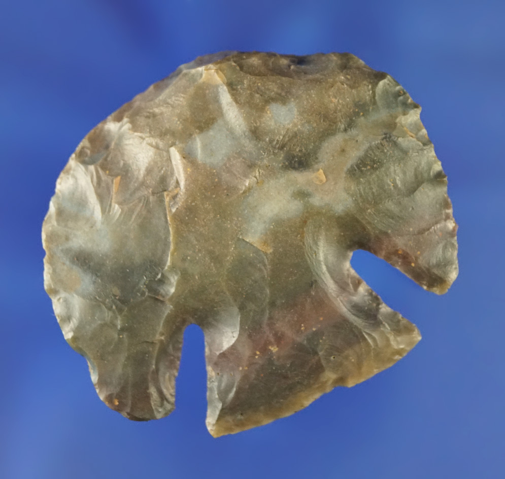 1 7/8" wide Lost Lake Hafted Scraper made from beautiful Sonora Flint found in Kentucky.