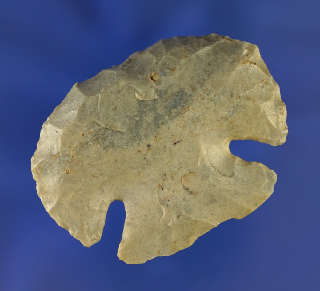 1 7/8" wide Hornstone Dovetail Hafted Scraper in excellent condition found in Ohio.