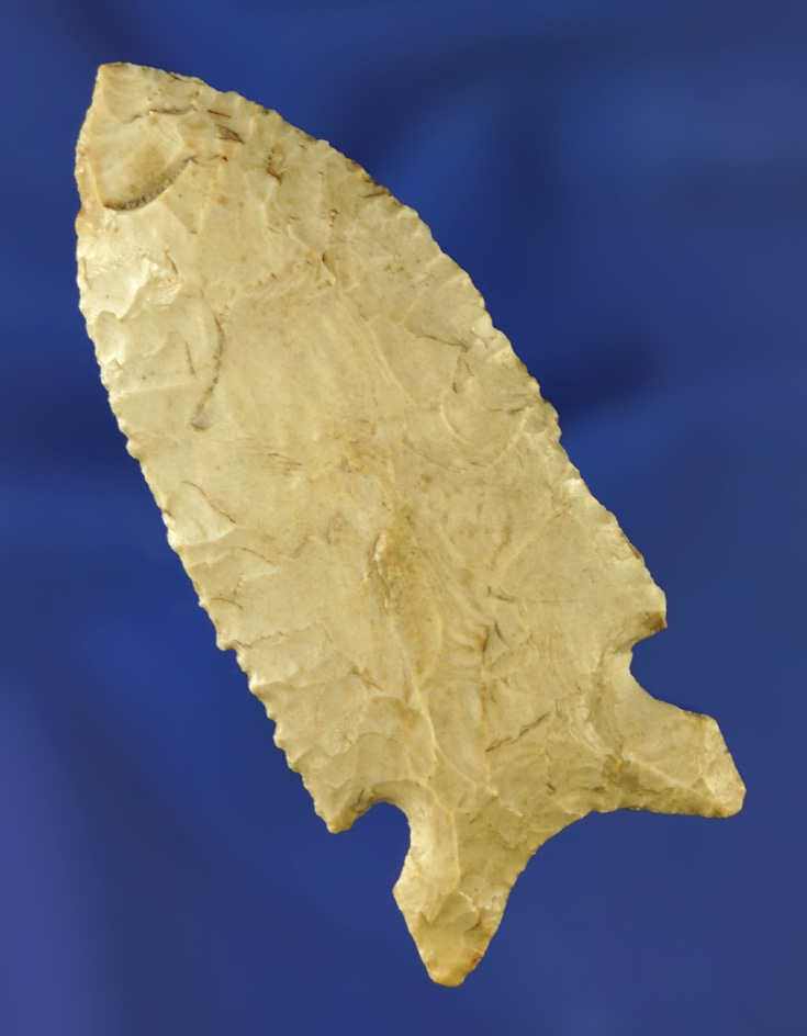 2 11/16" Graham Cave found in Adams Co.,  Indiana with excellent serration.  Bennett COA.