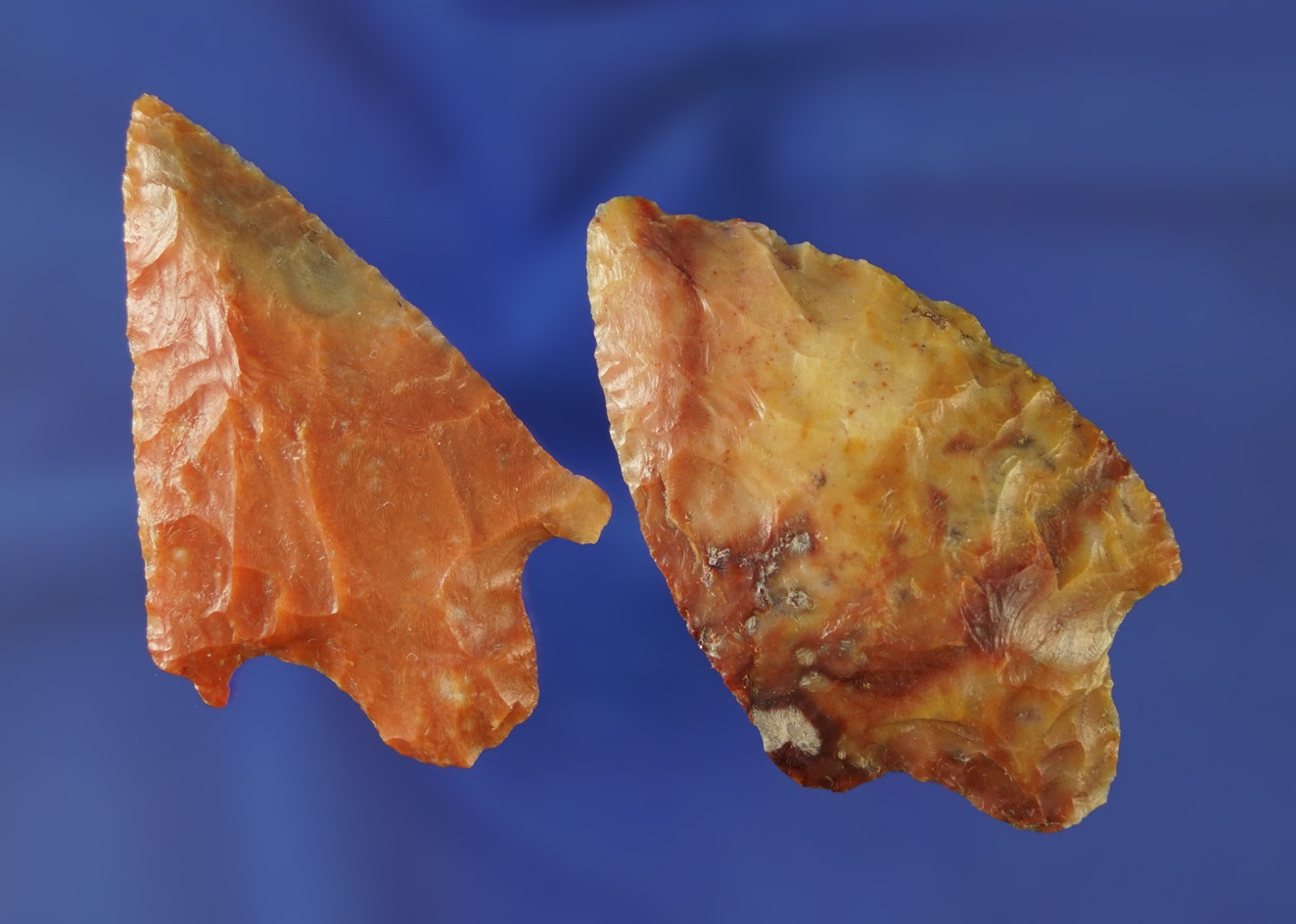 Pair of Florida stem points - high-quality material, largest is 2 3/8". Pasco/Pinellas Co.,  FL.