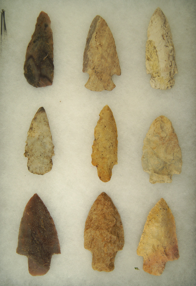 Set of 9 Assorted Arrowheads found in Arkansas and Missouri, largest is 3 1/8".