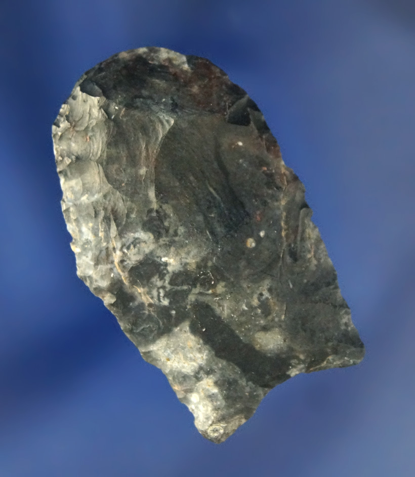 Rare style 1 11/16" Coshocton Flint Paleo Hafted Scraper with good use polished to bit. Ohio.