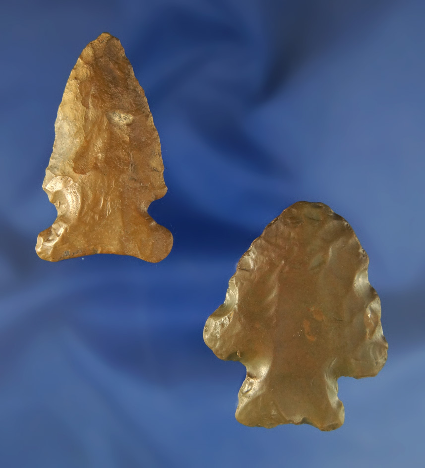 Pair of water polished Arrowheads, largest is 2" found by Buddy  Scheidegger at the Crib Mound