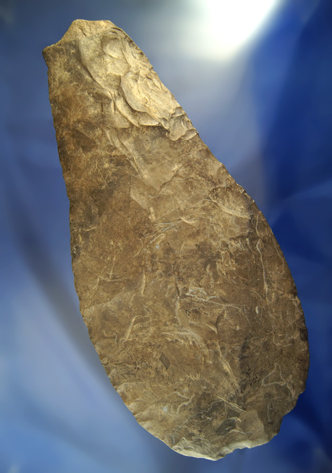 Huge! 11 1/8" Mississippian Hoe found in Humphreys Co.,  Tennessee. Dickey COA.