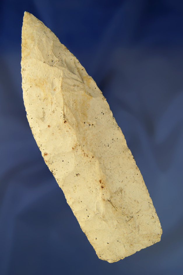 Very large 7 5/16" wide Blade with excellent mineral deposits on the surface. Pike Co.,  Illinois