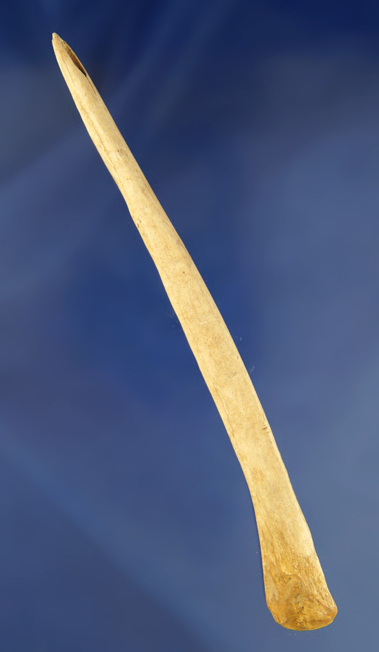 6 1/2" long Bone Hairpin made from a bear penis bone found near Augusta Kentucky.  Hothem's book
