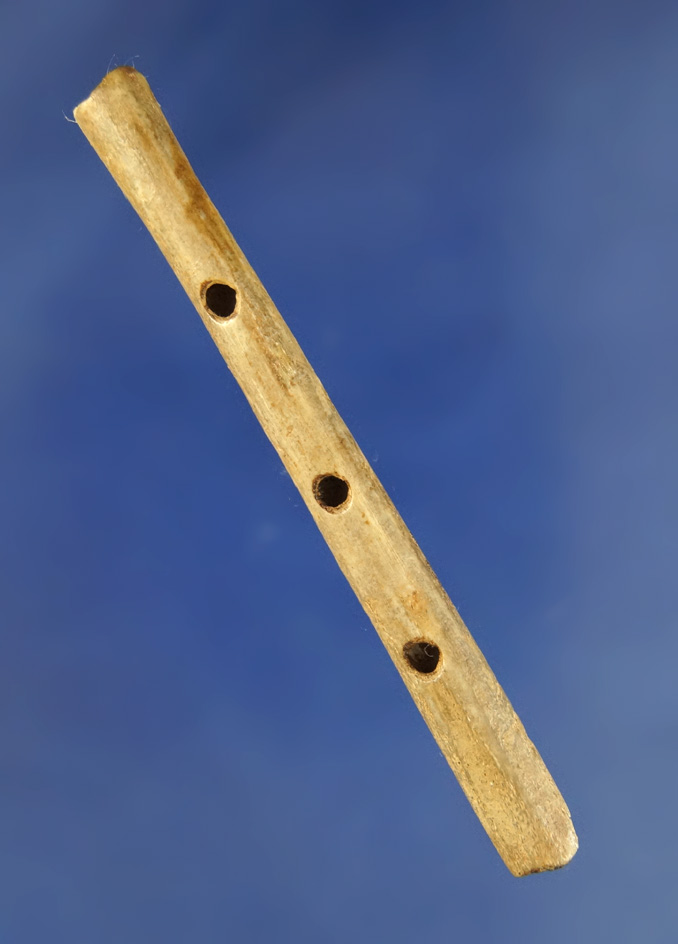 3 1/4" long three hole Bone Flute found at the Fox Field site in Mason Co.,  Kentucky. Pictured