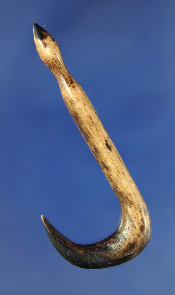 Highly polished 2 7/16" bone fishhook found in Arkansas.  Pictured in Hothem's antler bone and Shell