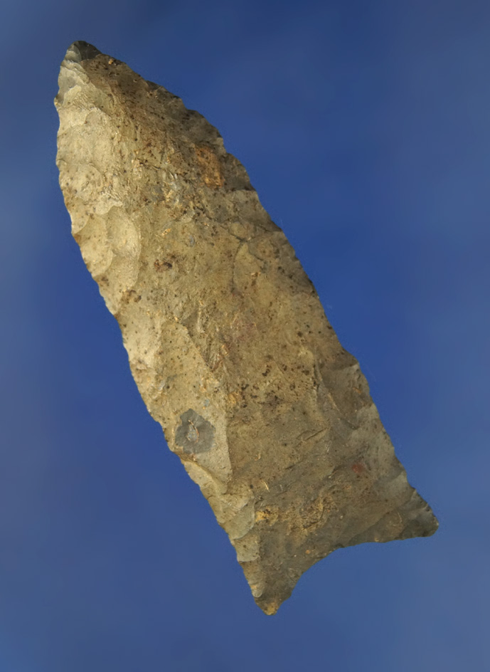 3 1/16" Dalton found in Greene Co.,  Indiana that is heavily patinated. Comes with a Dickey COA.