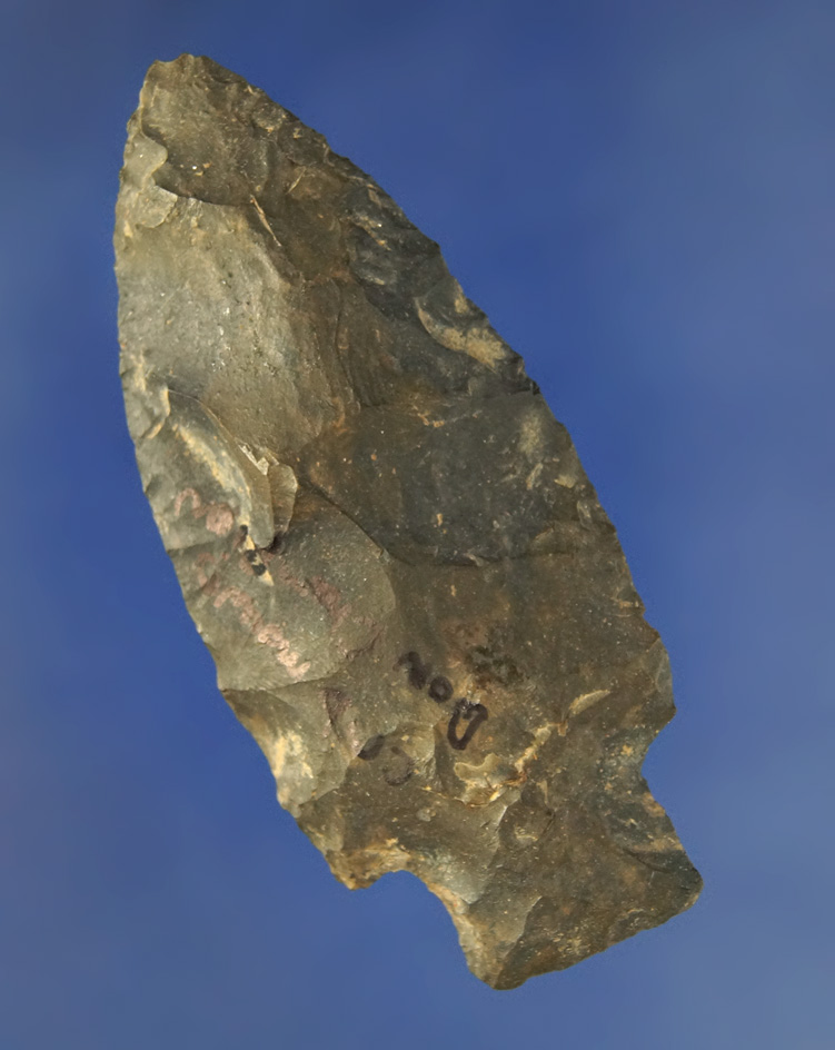 2 7/8" Archaic Stemmed Point found at the Crib Mound, Spencer Co.,  Indiana by Don Champion.