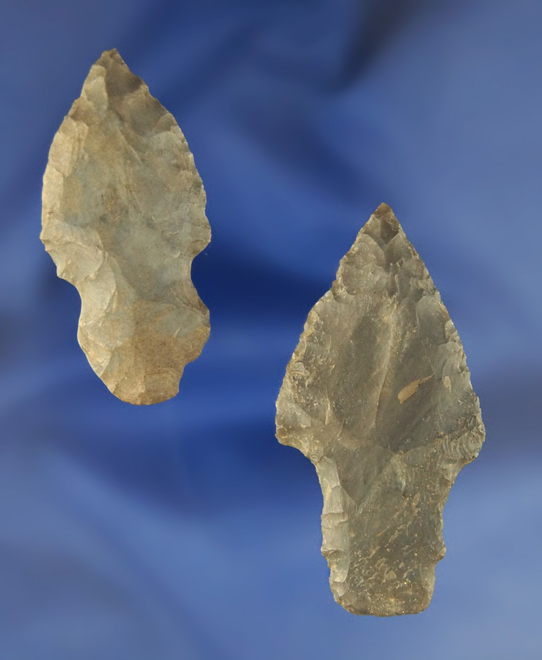 Pair of Adena Arrowheads, largest is 2 1/4" found at the Crib Mound, Spencer Co.,  Indiana