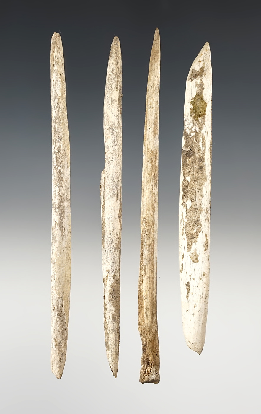 Set of 4 nice Bone tools found in the Midwestern U.S. The largest is 5 11/16".