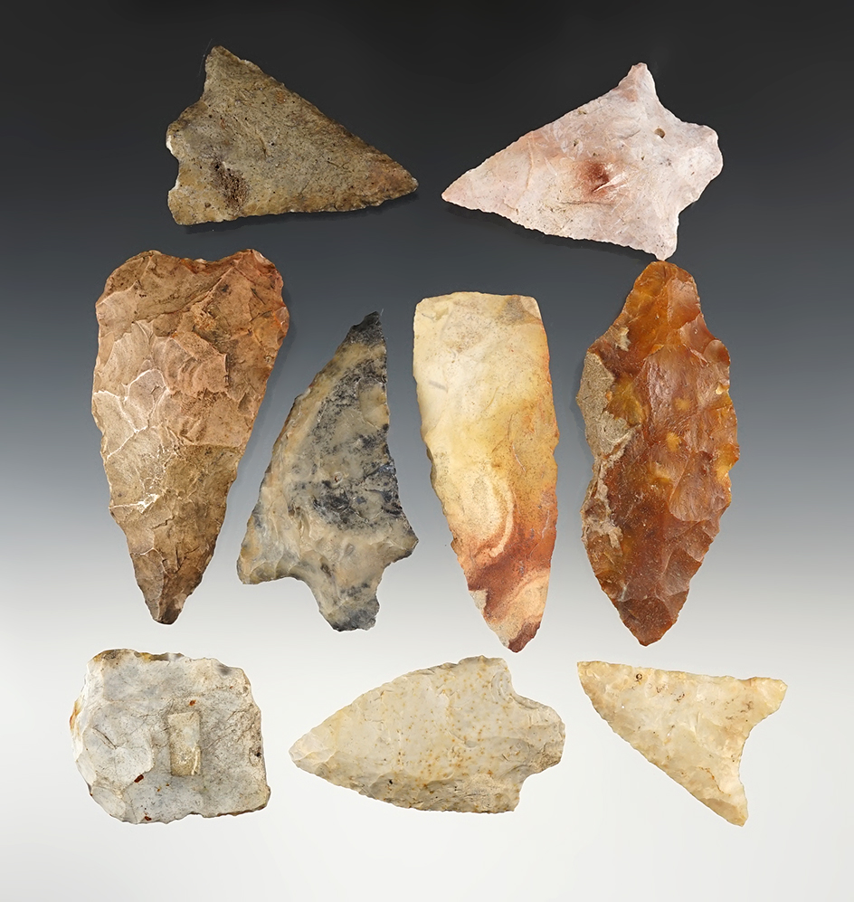 Set of 9 colorful Florida points. The largest is 3 9/16".