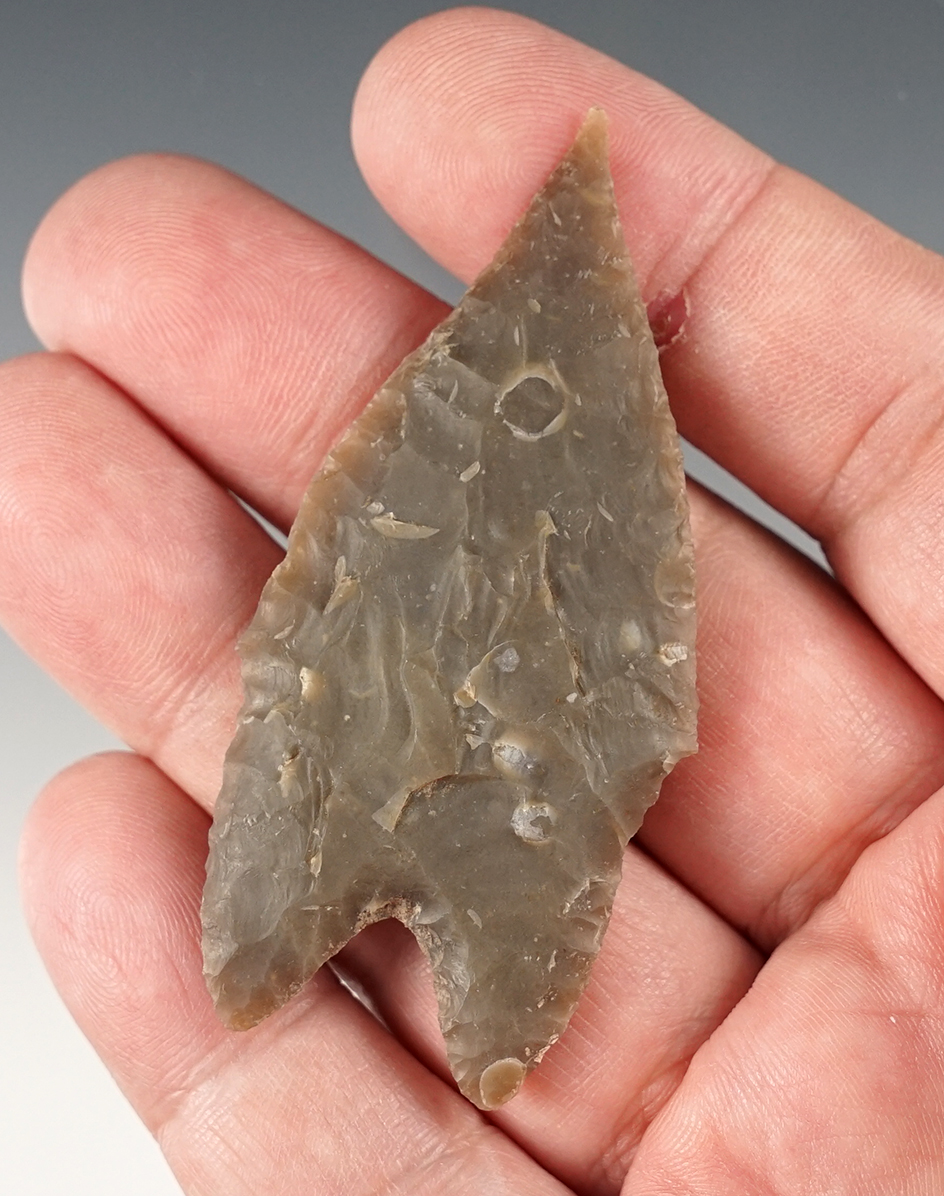 Needle tipped 2 11/16" Pedernales found in Kerr Co., Texas. Comes with an Arnold COA.